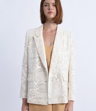 Sequin jacket dress zara deals