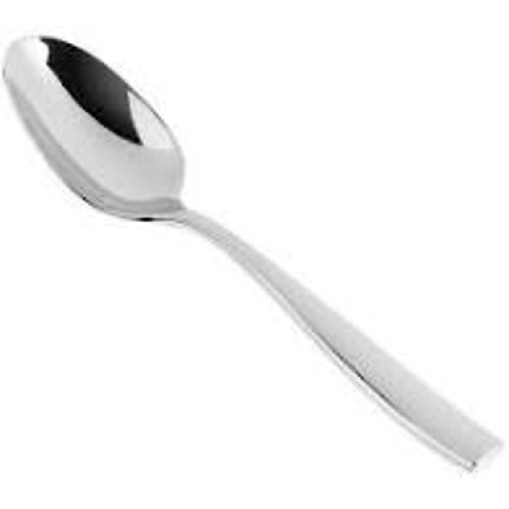 FORTESSA Special order 1.5.102.00.027 Lucca serving spoon  9.6" 18/10 12/case