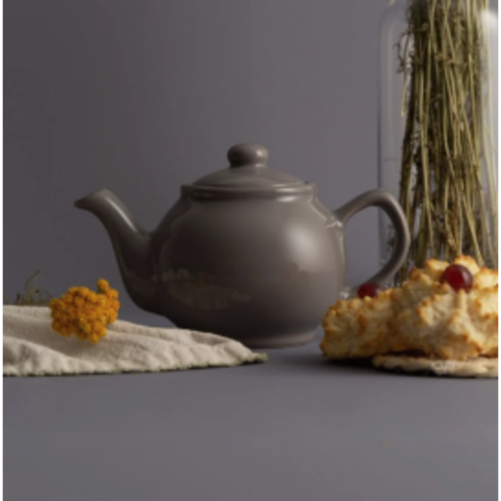 Kilner 0059.670U Kilner Charcoal Teapot 2 Cup 3/case