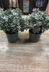 Decor Potted LED Holly Plant