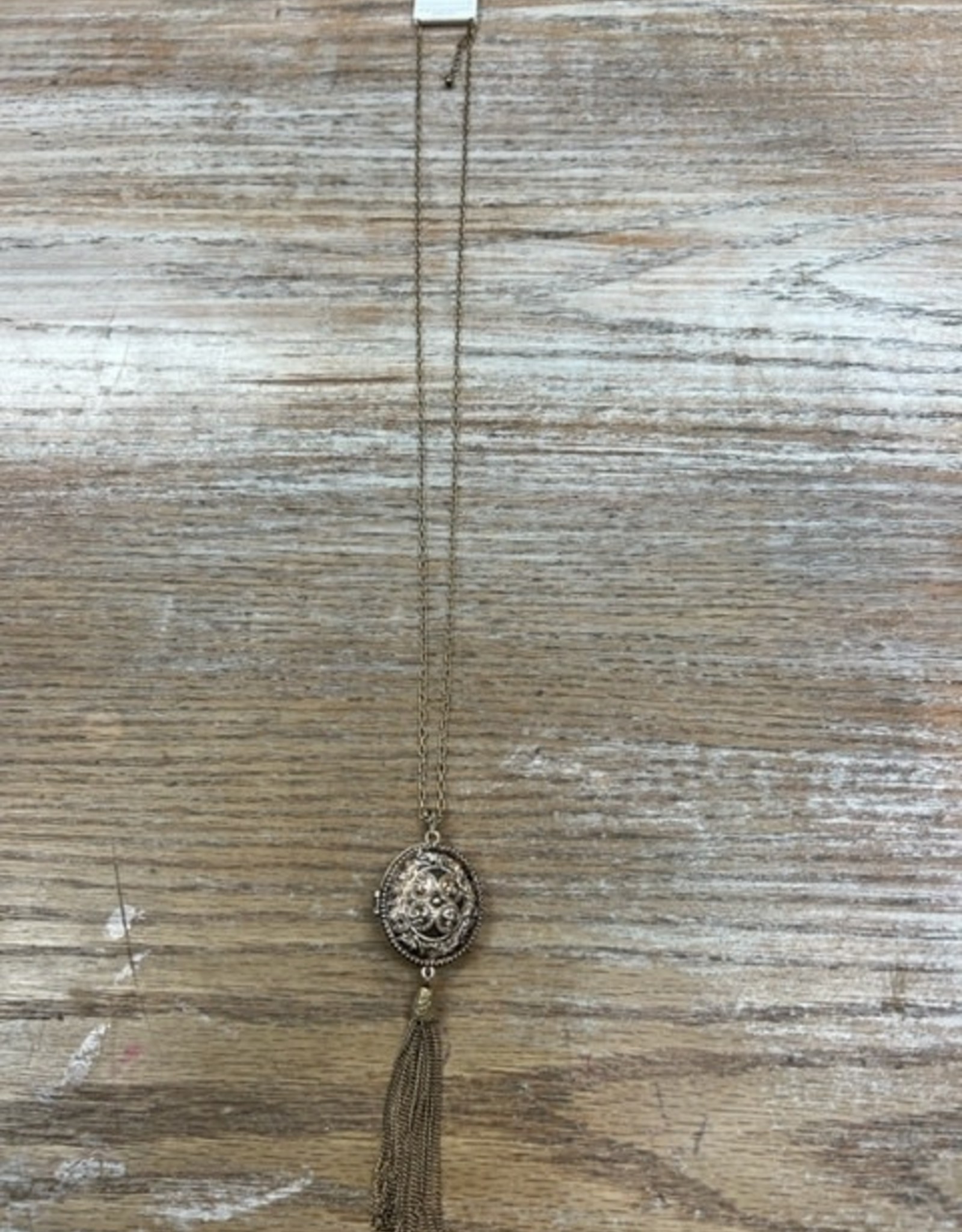 Jewelry Long Gold Oval Locket Tassel Necklace
