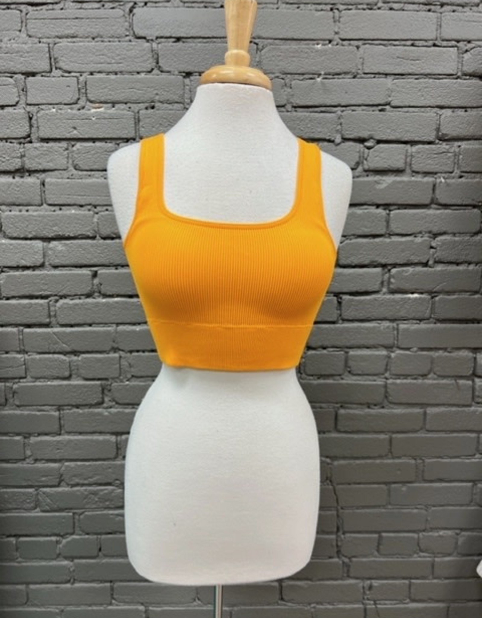 bra Ribbed Scoop Neck Padded Bra