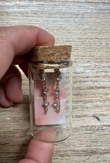Jewelry Glass Jar Earrings