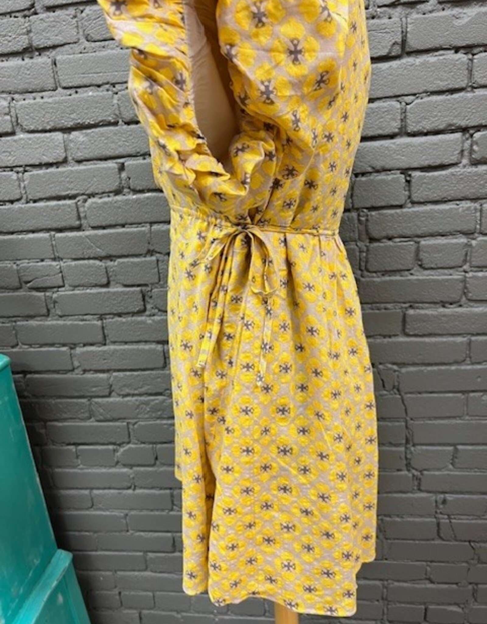 Dress Billie Printed Puff Sleeve Waist Tie Dress