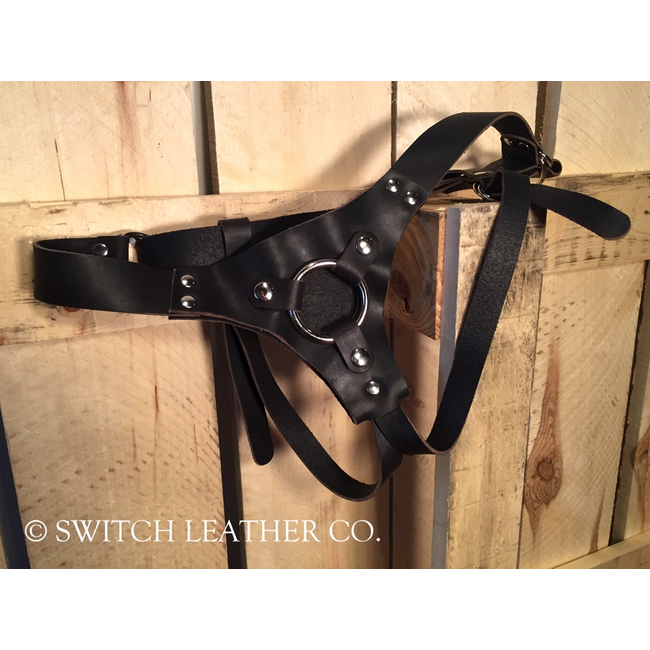 Switch Leather Co. Ramona Harness