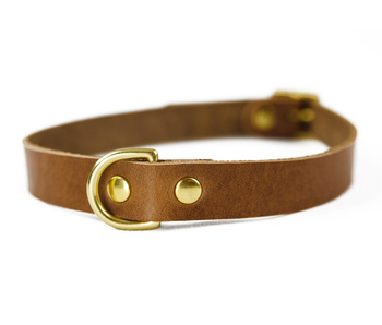 Switch Leather Camryn Collar