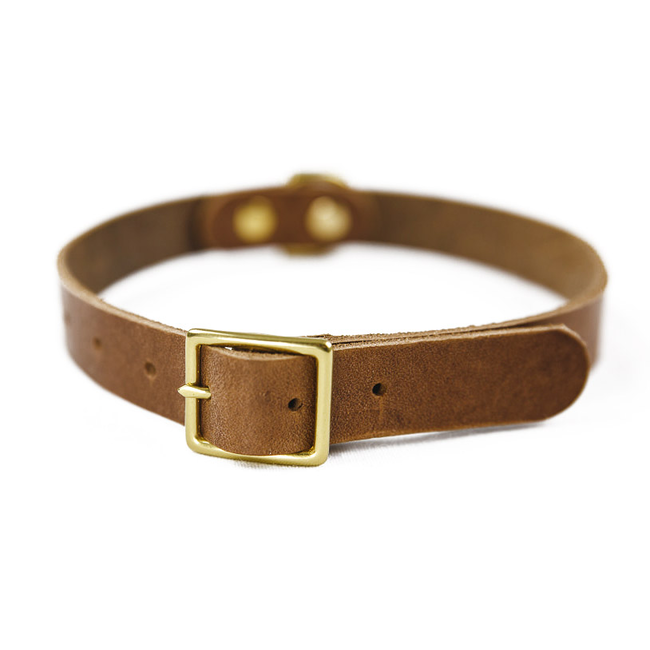 Switch Leather Co.  Camryn Collar