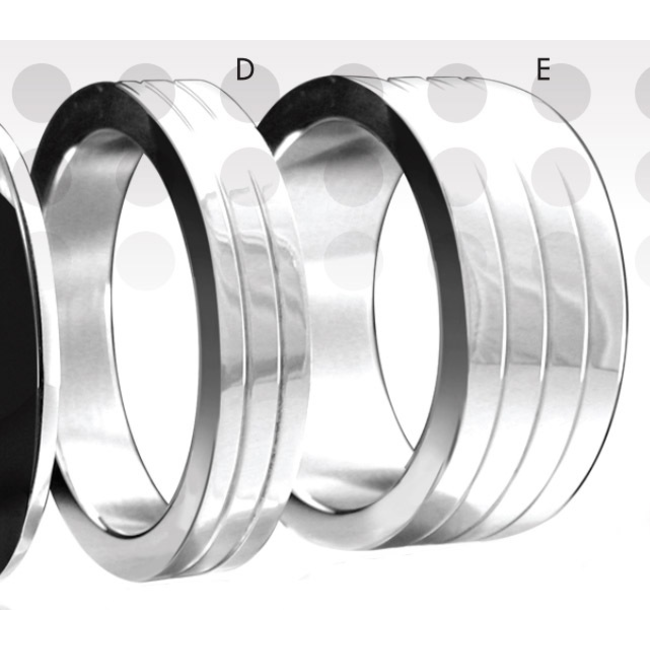 Stainless Steel Ring