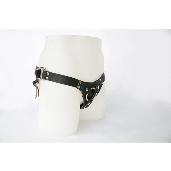 Switch Leather Co. Ramona Harness