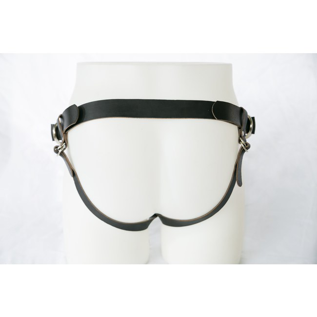 Switch Leather Co. Ramona Harness