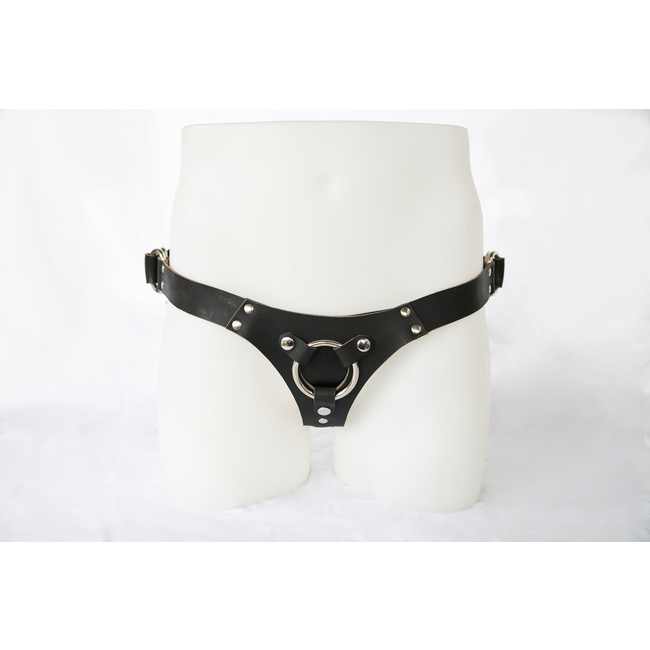 Switch Leather Co. Ramona Harness