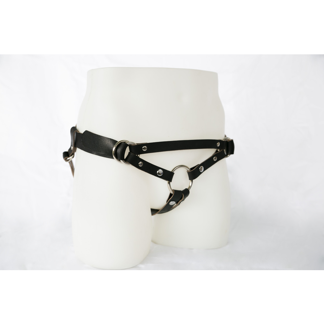 Switch Leather Co. Camryn Harness