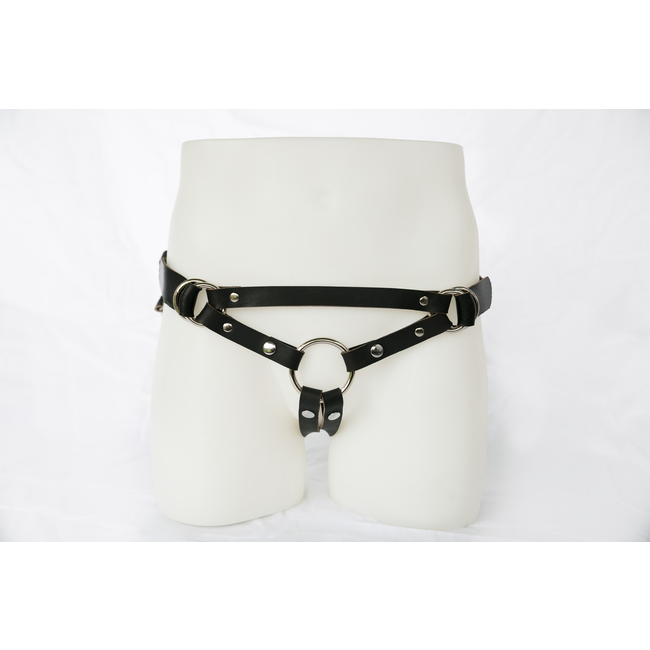 Switch Leather Co. Camryn Harness