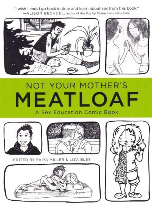 Not Your Mother's Meatloaf: A Sex Education Comic Book