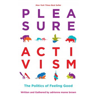 Pleasure Activism: The Politics of Feeling Good