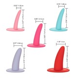 California Exotics California Exotics Wearable 5-Piece Vaginal Dilator Set