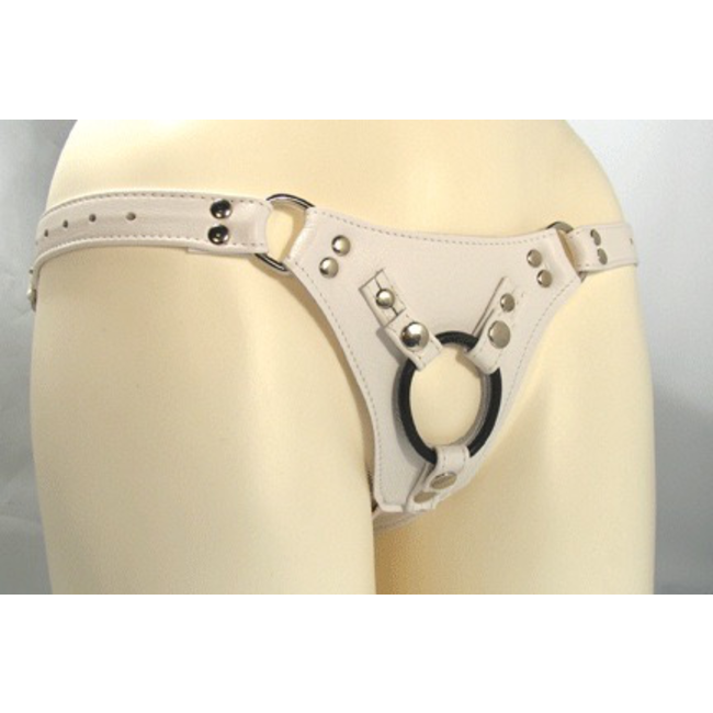 Aslan Leather Jaguar Harness