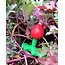 Hole Punch Toys Radish