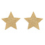 bijoux indiscrets Bijoux Indiscrets Gold Star Pasties