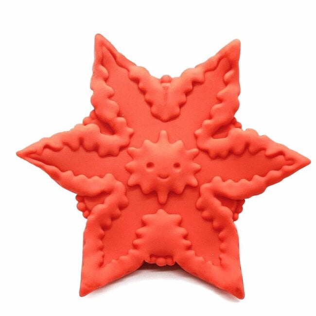 Cute Little Fuckers Starsi