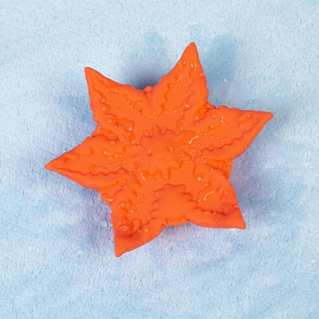 Cute Little Fuckers Starsi