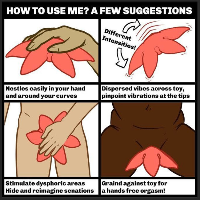 Cute Little Fuckers Starsi