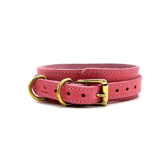 Tango Pink Collar & Leash