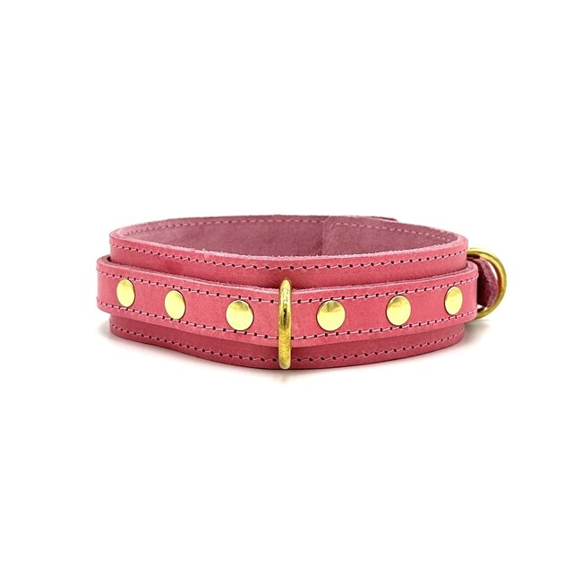 Tango Pink Collar & Leash