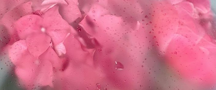 Your First Vibrator - Finding the Perfect Toy