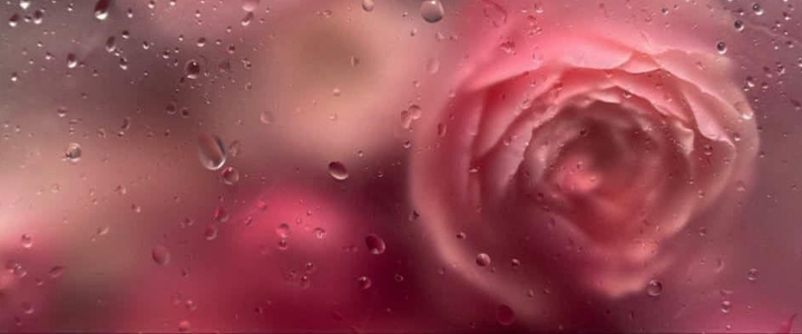 How to find and stimulate the prostate