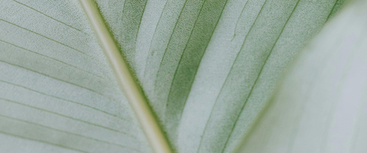 A nuanced look at rimming