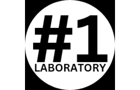 #1 Lab
