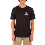 Hurley Hurley T-Shirt, Everyday Washed Welcome to Paradise SS, Mens