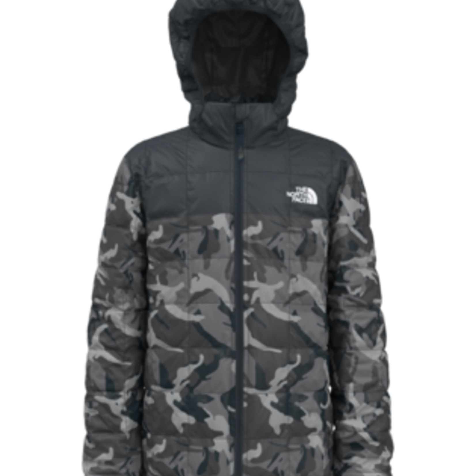 The North Face The North Face Winter Jacket, Printed Thermoball Eco Hoodie, Boys