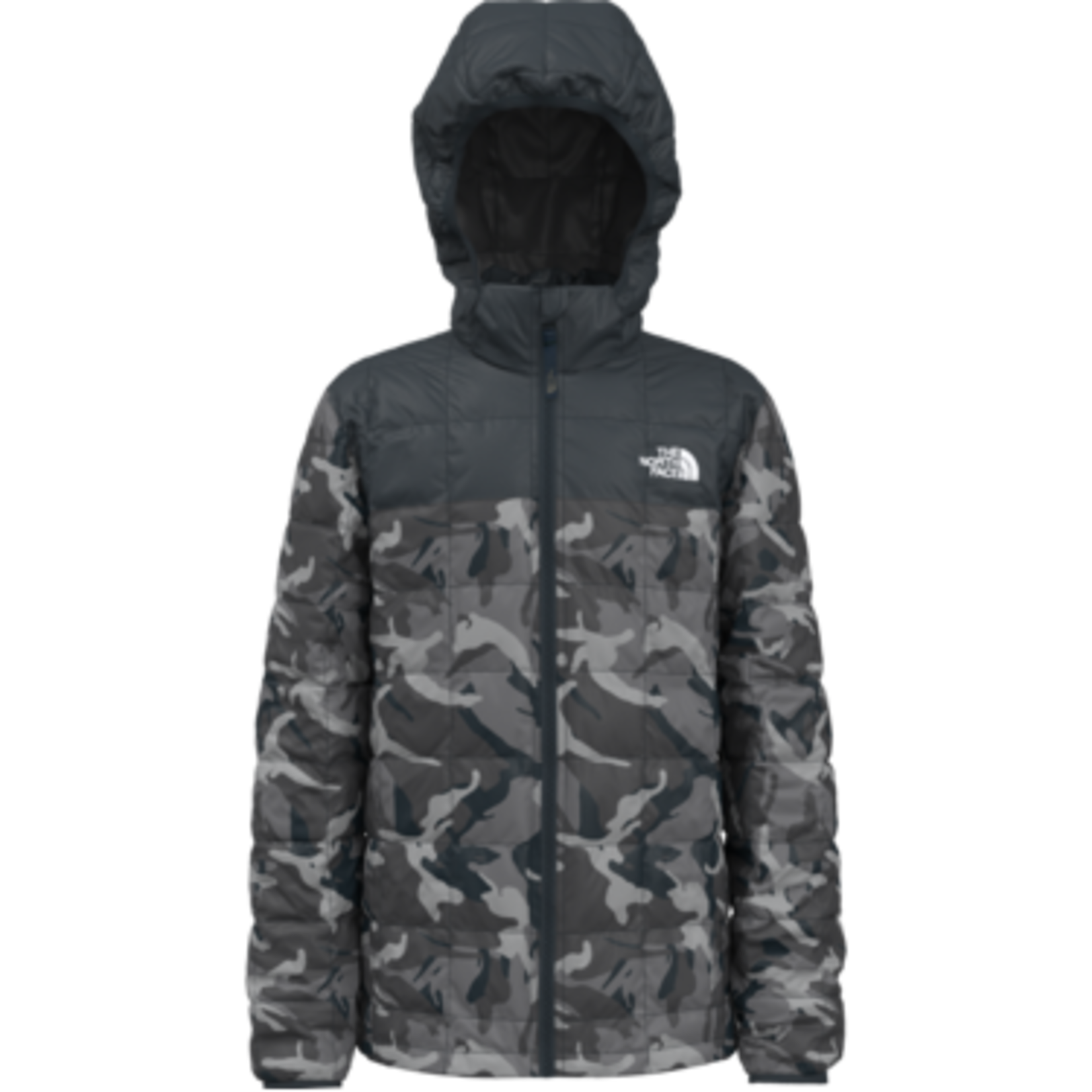 The North Face The North Face Winter Jacket, Printed Thermoball Eco Hoodie, Boys