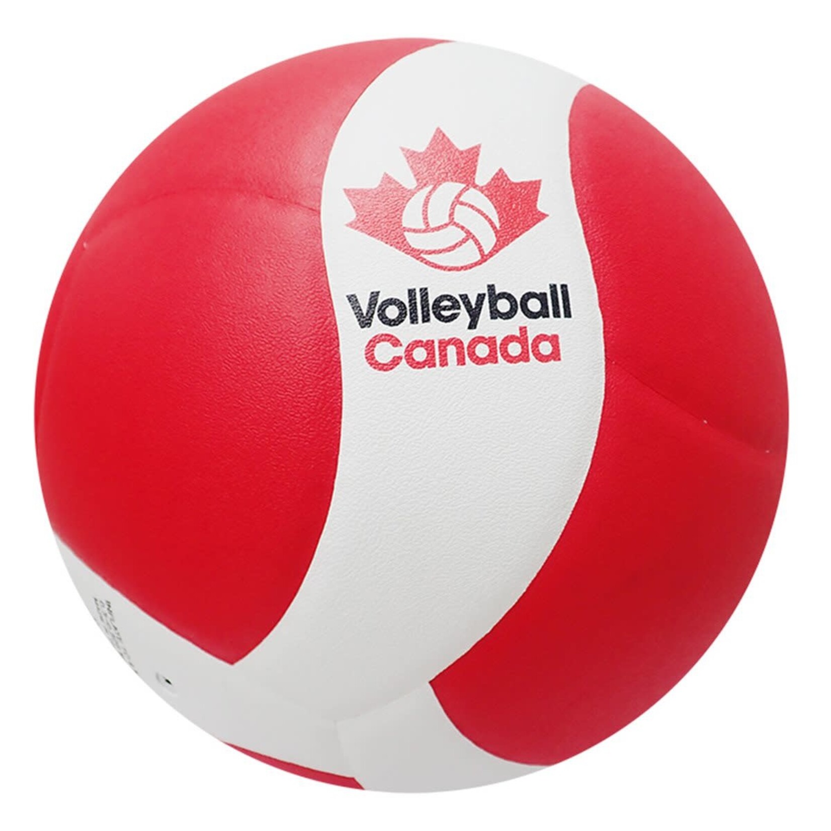 Mikasa Volleyball, Canada Competition