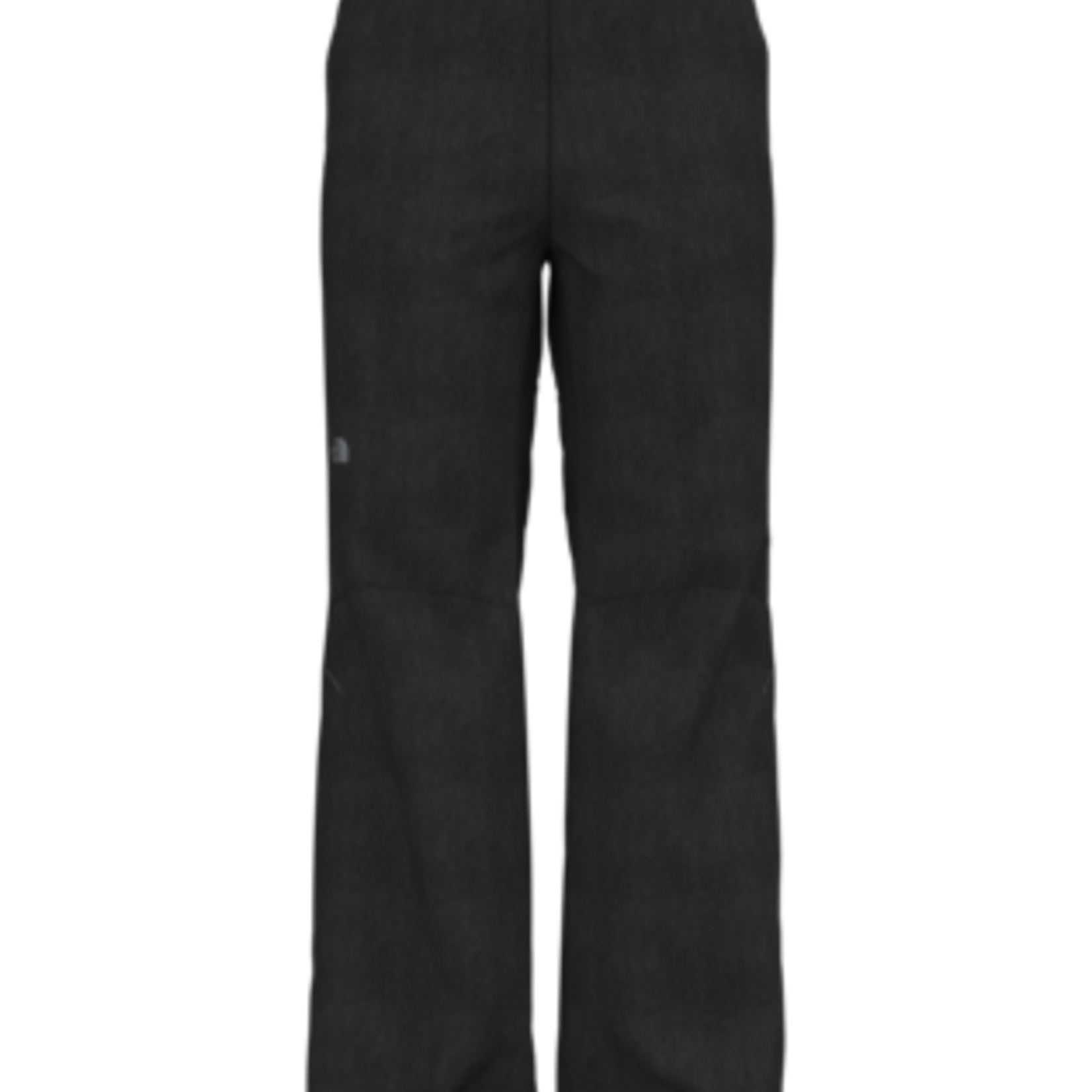 The North Face The North Face Pants Venture 2 Half Zip Ladies