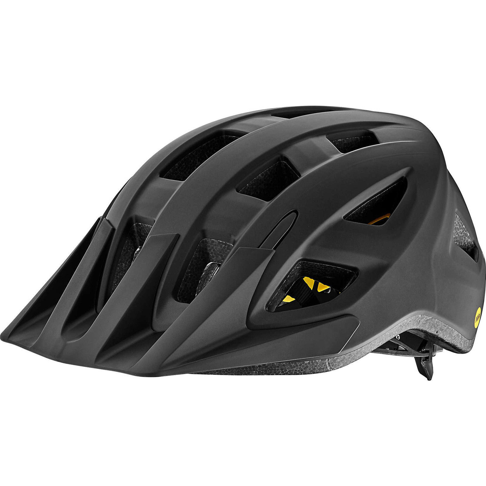 Giant Giant Bike Helmet, Path Mips