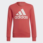 Adidas Adidas Sweater, Big Logo Essentials, Girls