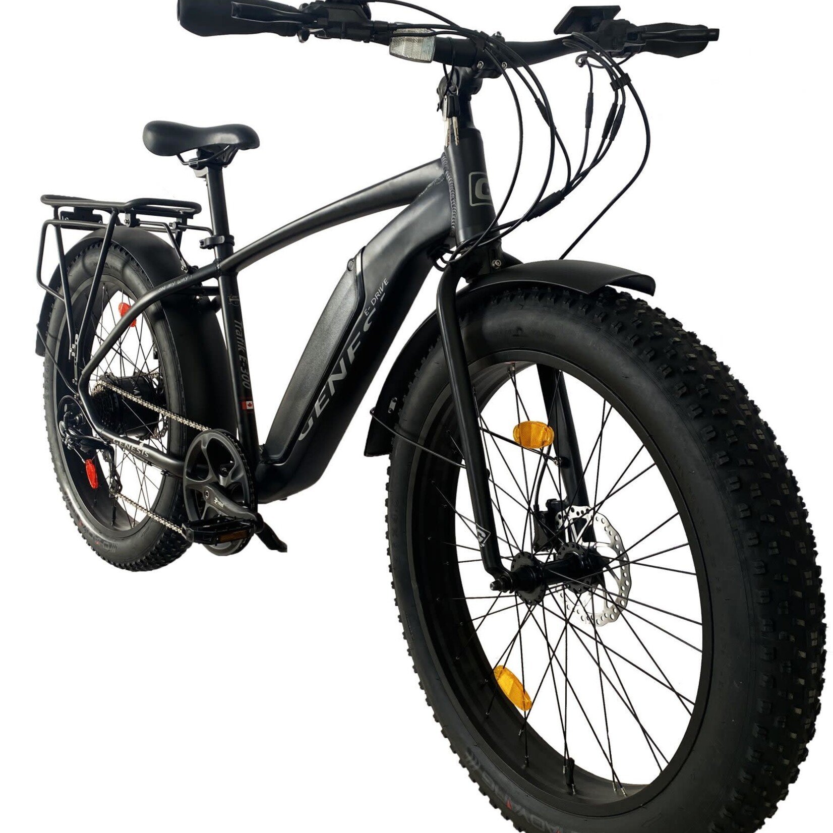 Genesis Electric Bike, Trafik E-300 Fat Tire, Blk/Slv, 17"