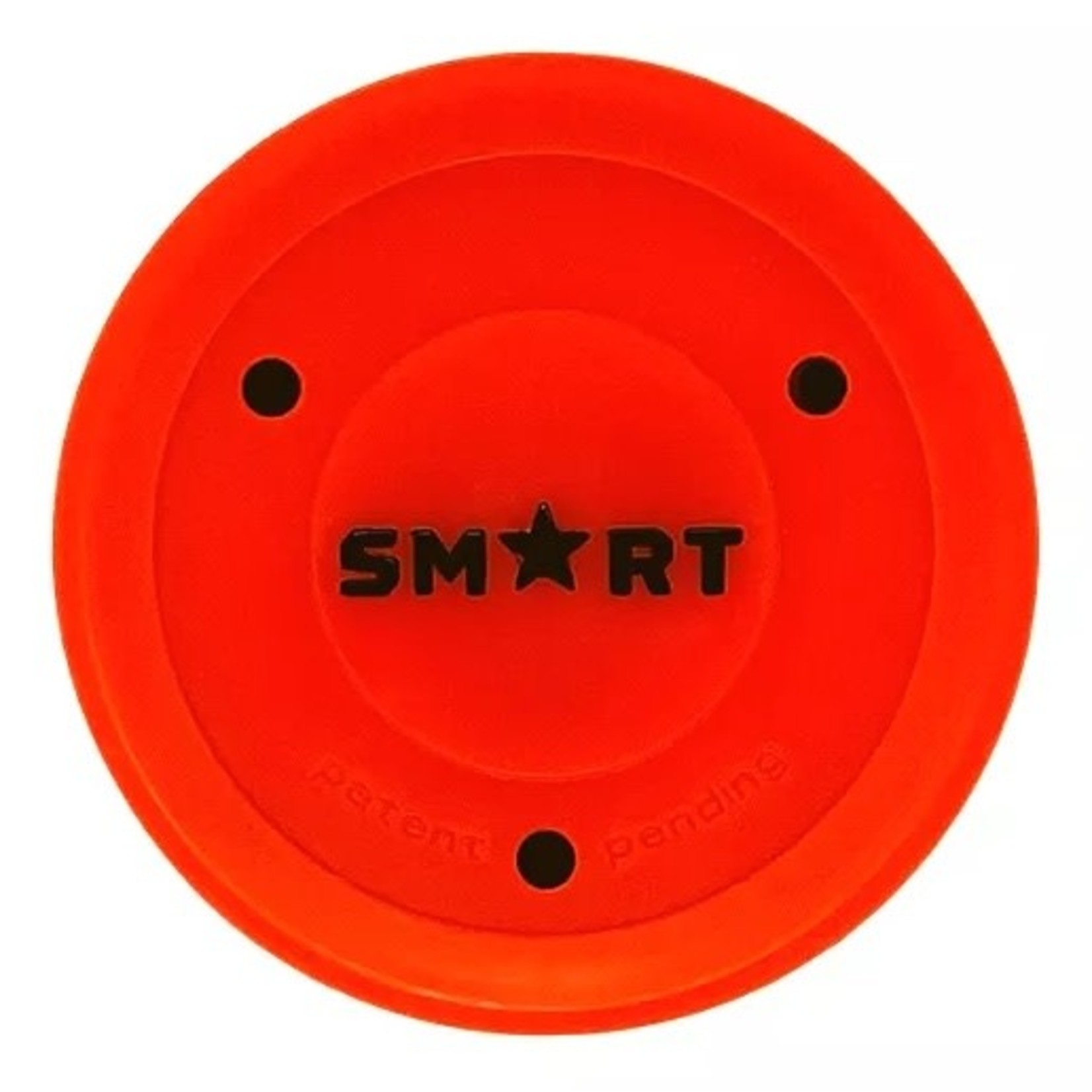 Smart Hockey Puck, Training