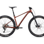 Giant Giant Mountain Bike, Fathom 2, Mens