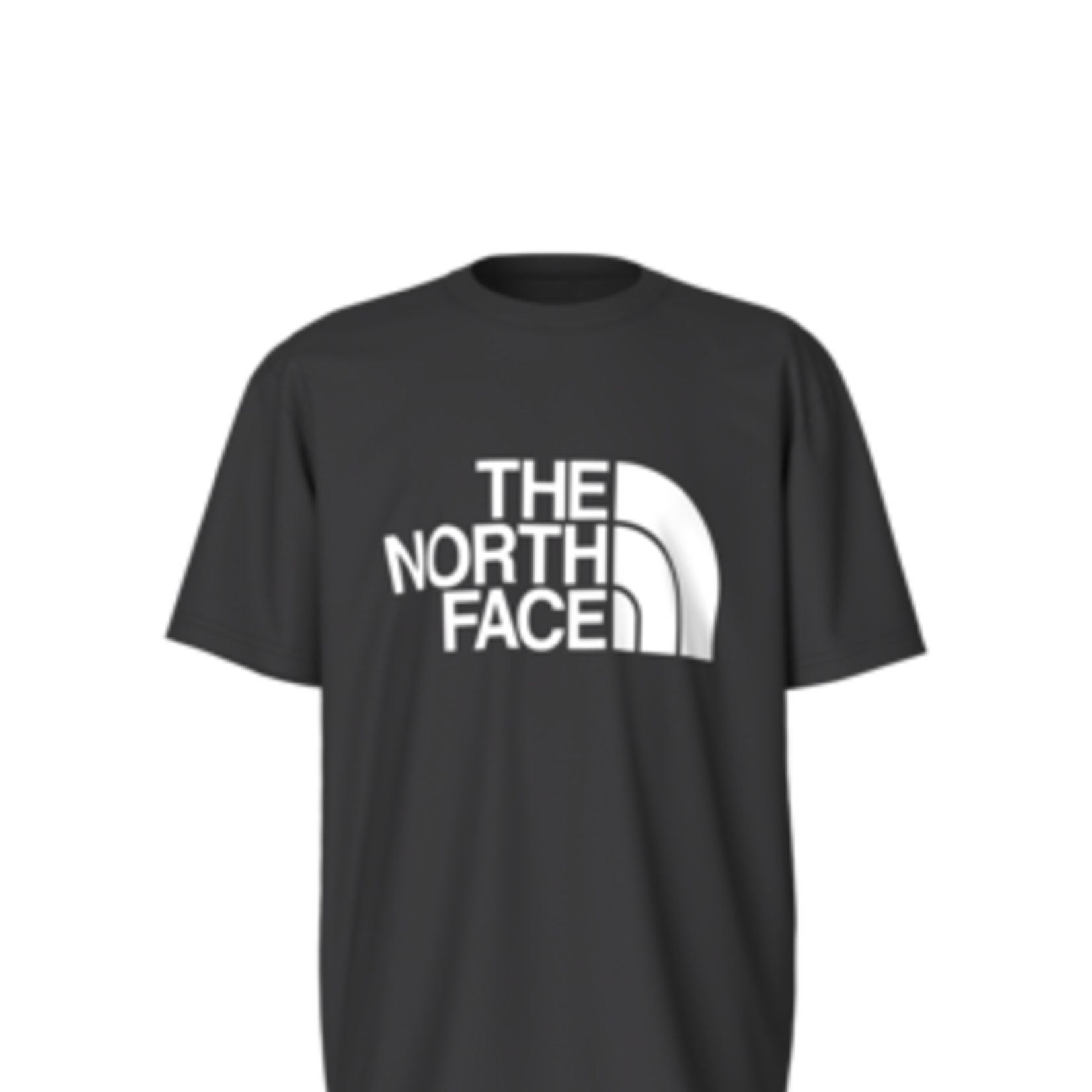 The North Face The North Face T-Shirt, Graphic, Boys