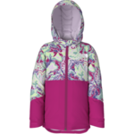 The North Face The North Face Winter Jacket, Freedom Insulated, Girls, Toddler