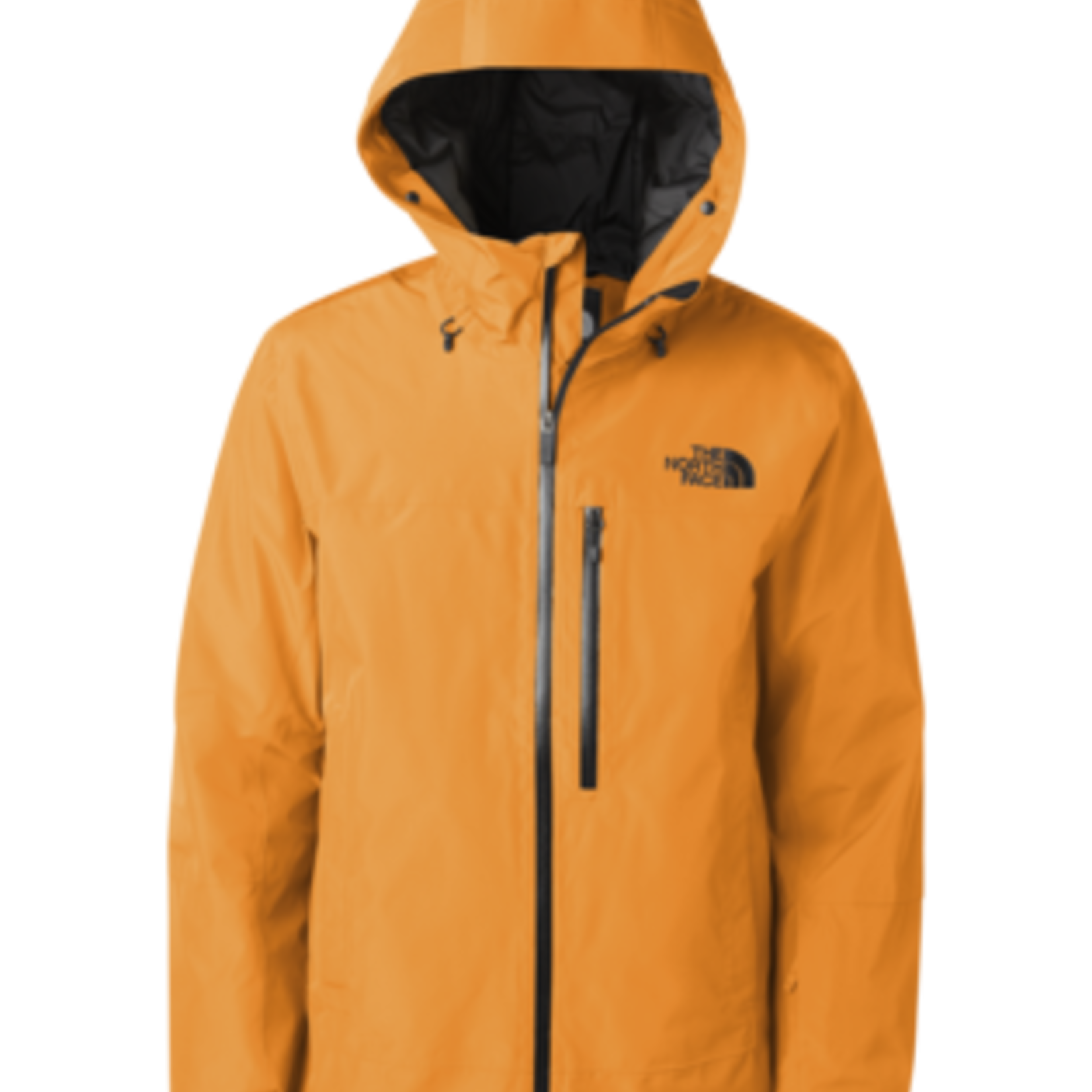 The North Face The North Face Winter Jacket, Descendit, Mens