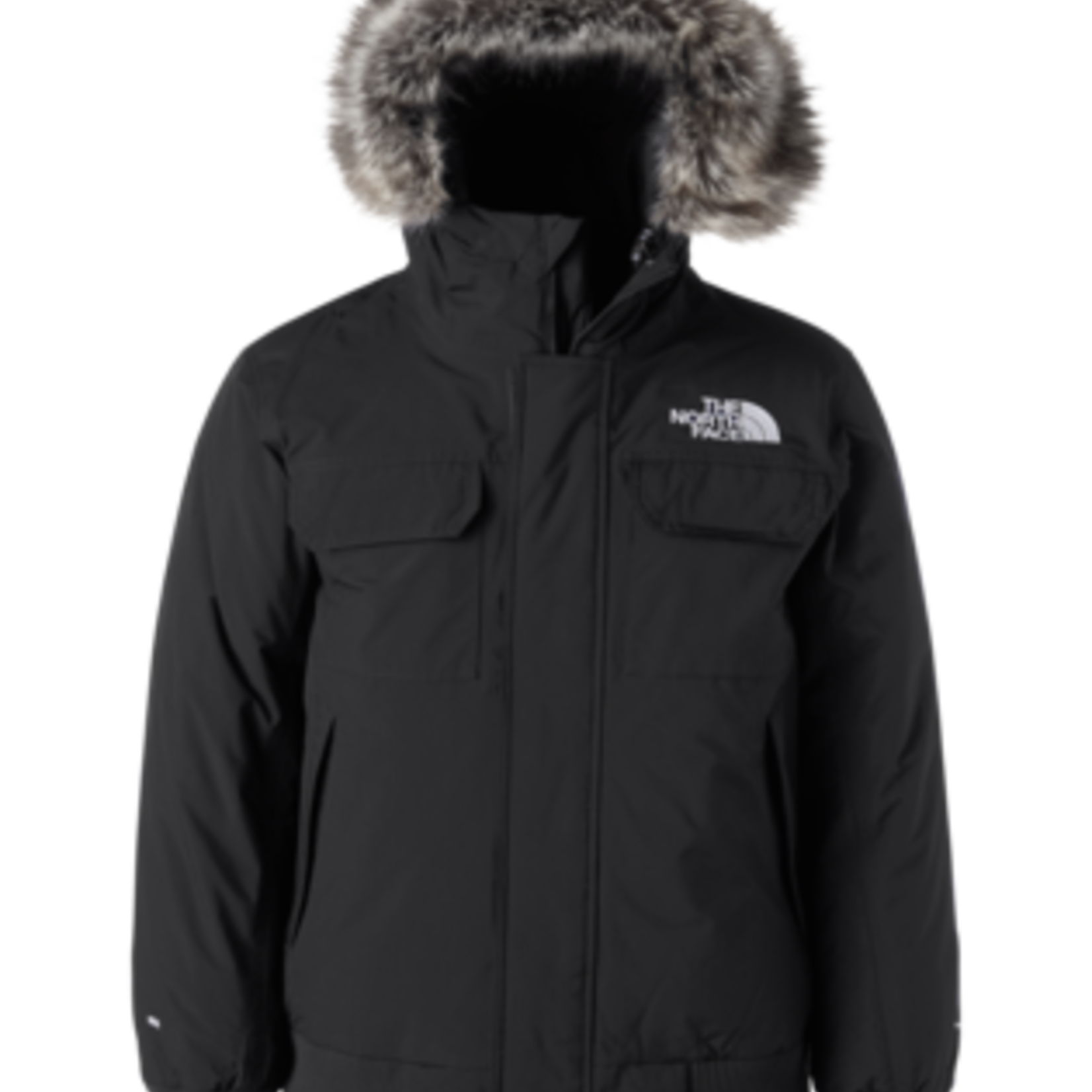 The North Face The North Face Winter Jacket, McMurdo Bomber, Mens