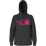 The North Face The North Face Hoodie, Printed Novelty Fill, Ladies