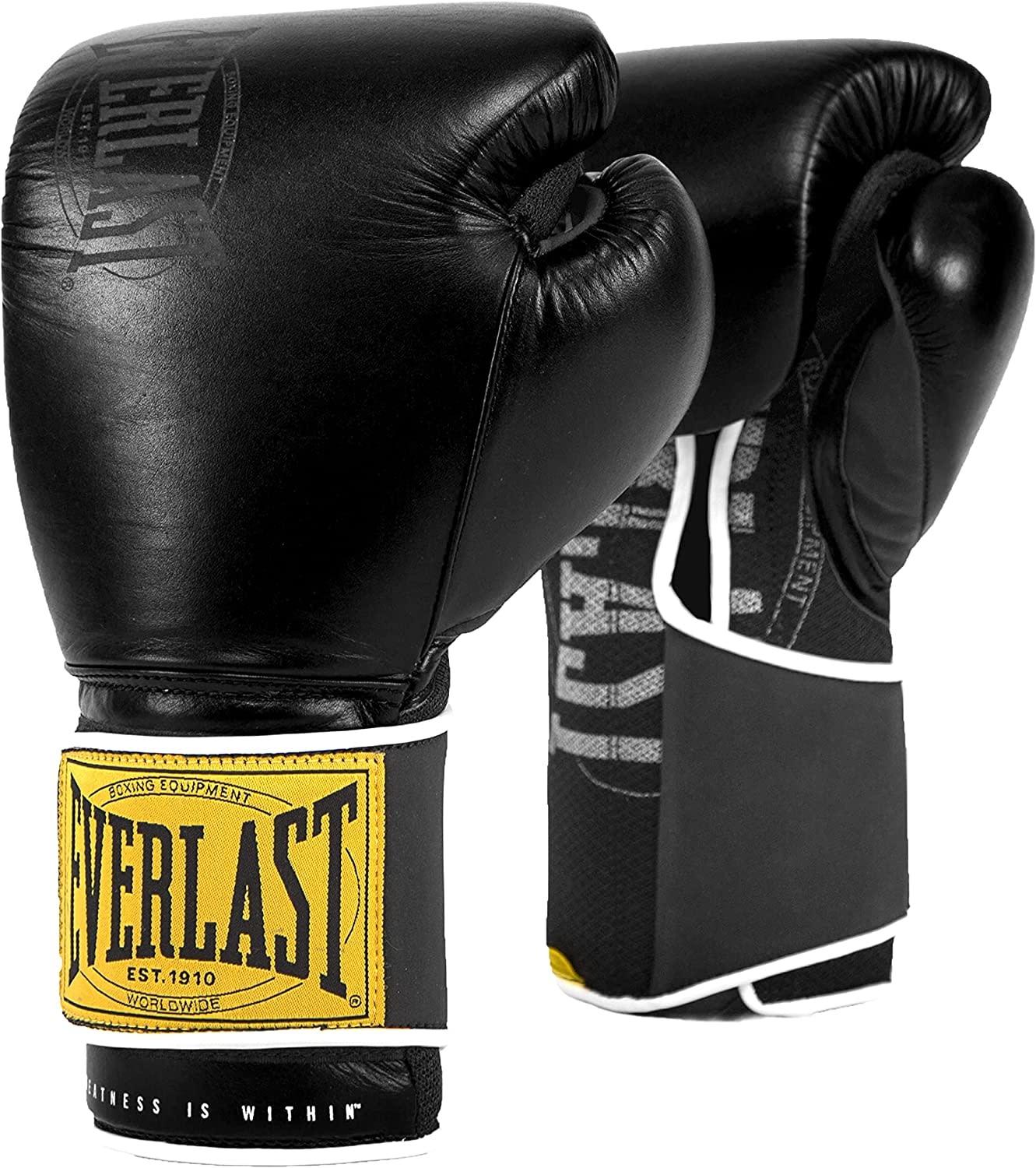 Everlast Boxing Gloves, 1910 Classic Training - Time-Out Sports