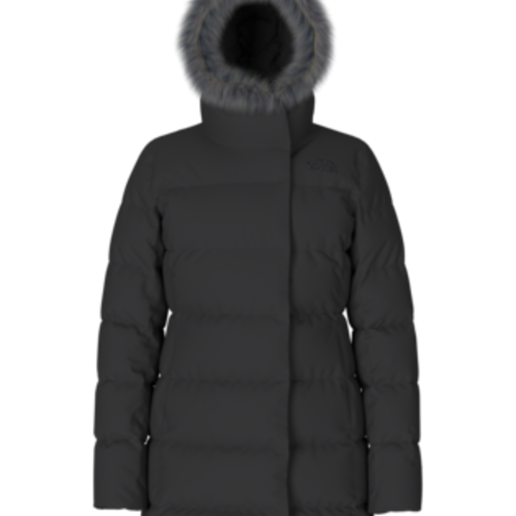 The North Face The North Face Winter Jacket, New Dealio Down Parka, Ladies
