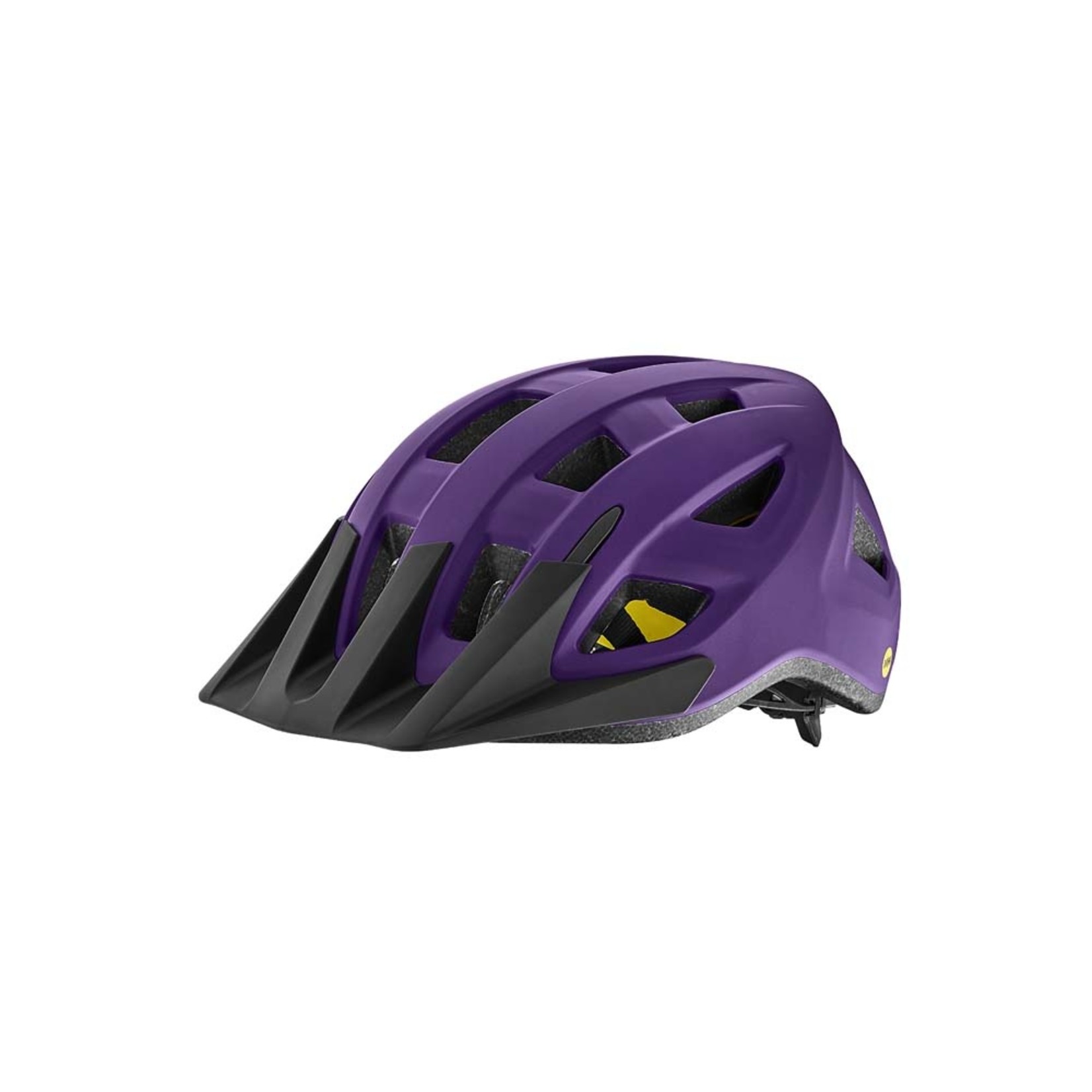 Giant Giant Bike Helmet, Path Mips, Youth